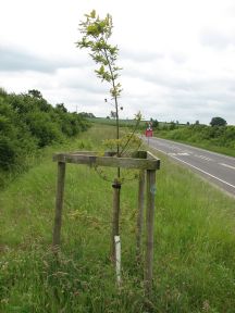 Greenwich Meridian Marker; England; Lincolnshire; Louth